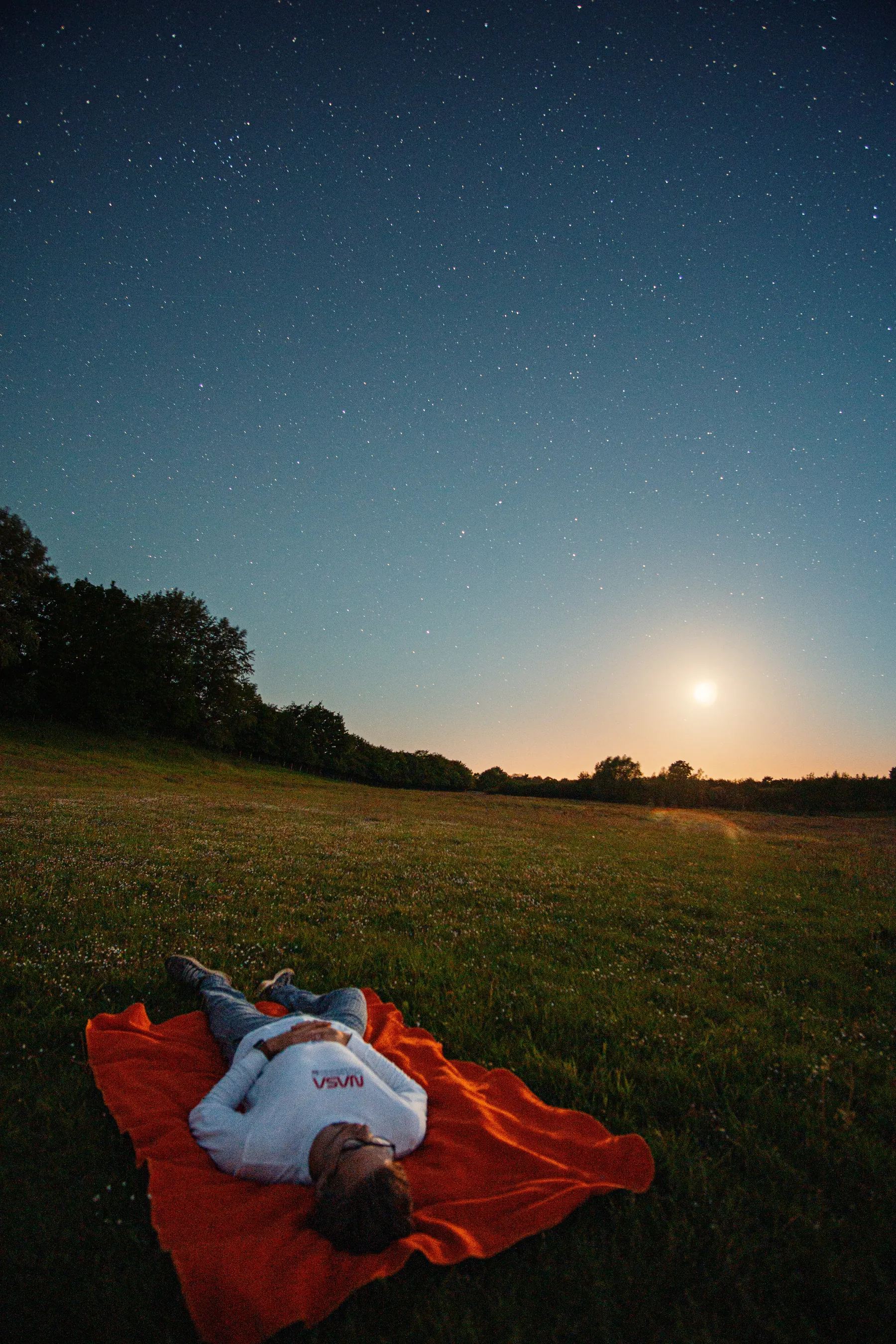 Meadow under a sky full of stars, the moon low on the horizon